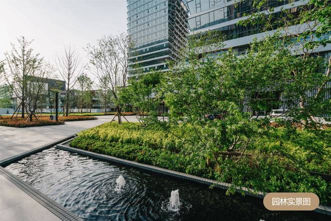 白桦林金融创新中心▁品牌开发商▁内部优惠▁城北中心▁楼盘地址